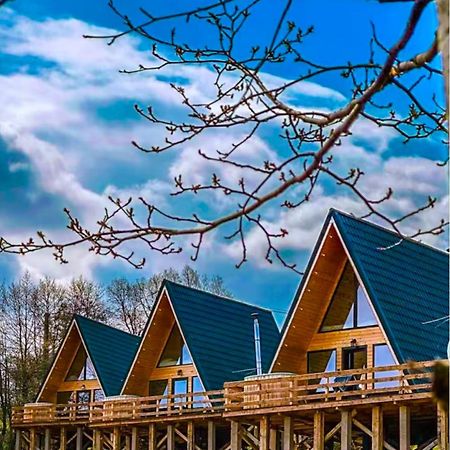 Cabana 365 Брашов Екстер'єр фото