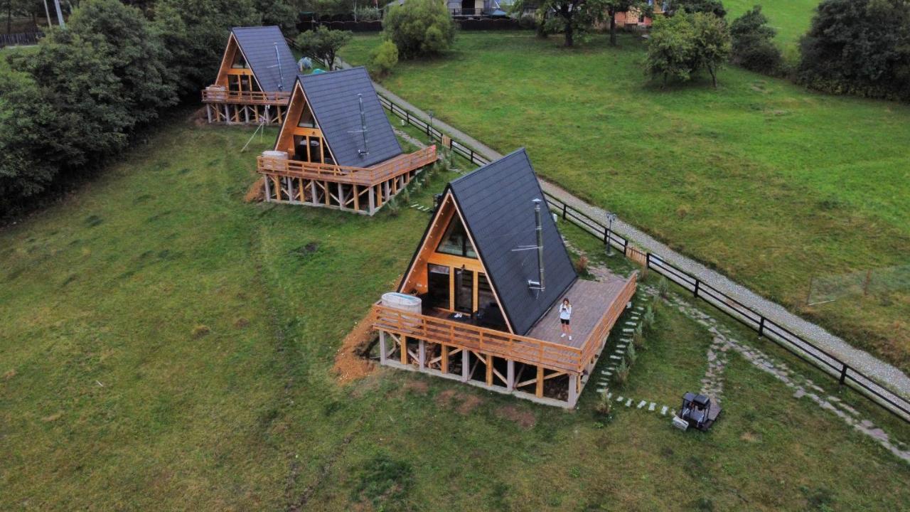 Cabana 365 Брашов Екстер'єр фото