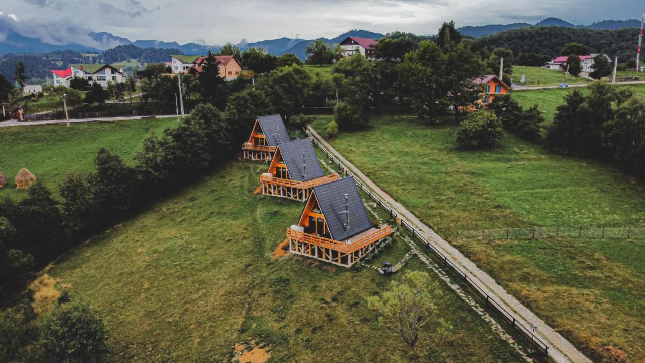 Cabana 365 Брашов Екстер'єр фото